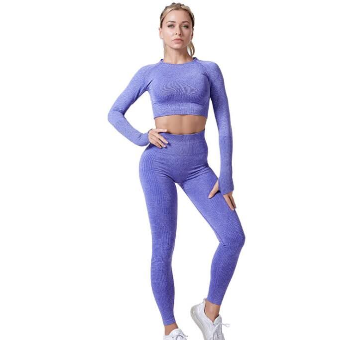 "Women’s Seamless Yoga Set - Vital Gym Fitness Leggings & Cropped Top" - Active Allure